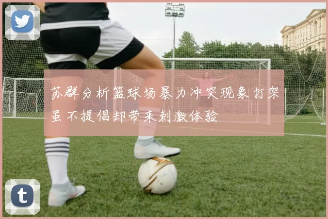苏群分析篮球场暴力冲突现象打架虽不提倡却带来刺激体验